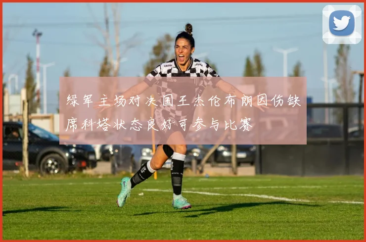 绿军主场对决国王杰伦布朗因伤缺席科塔状态良好可参与比赛