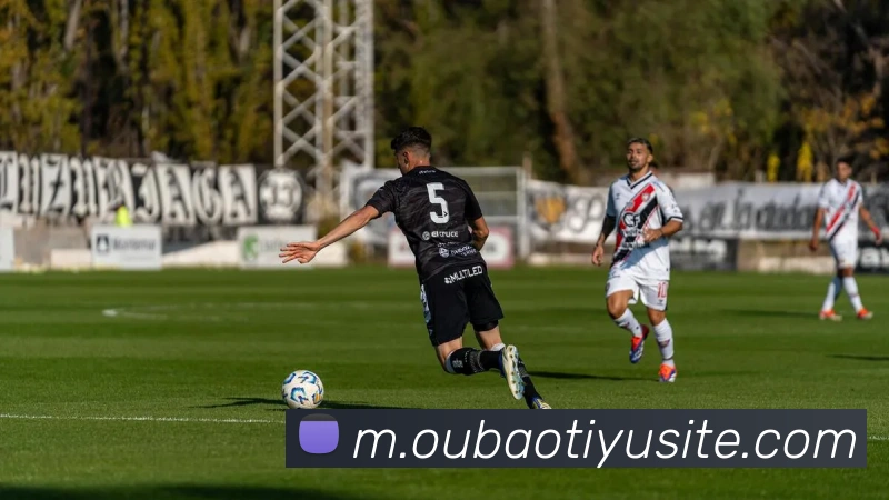 欧宝体育平台生态图